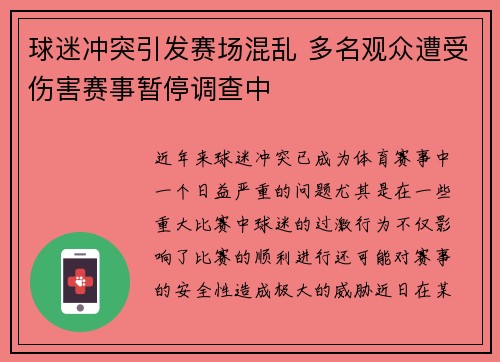 球迷冲突引发赛场混乱 多名观众遭受伤害赛事暂停调查中
