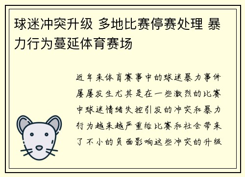球迷冲突升级 多地比赛停赛处理 暴力行为蔓延体育赛场
