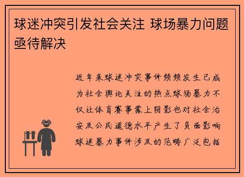 球迷冲突引发社会关注 球场暴力问题亟待解决