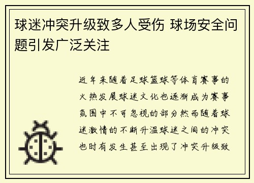 球迷冲突升级致多人受伤 球场安全问题引发广泛关注